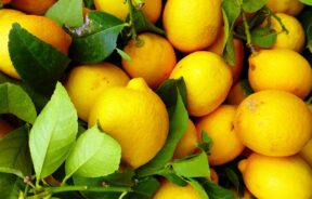 Jesenja Vitalnost Iskoristite Moć Limuna za Energiju i Sreću